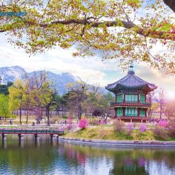 Tour du lịch Hàn Quốc