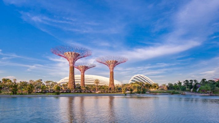 garden by the bay