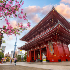 Đền Asakusa Kannon