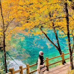 cổ khương thành