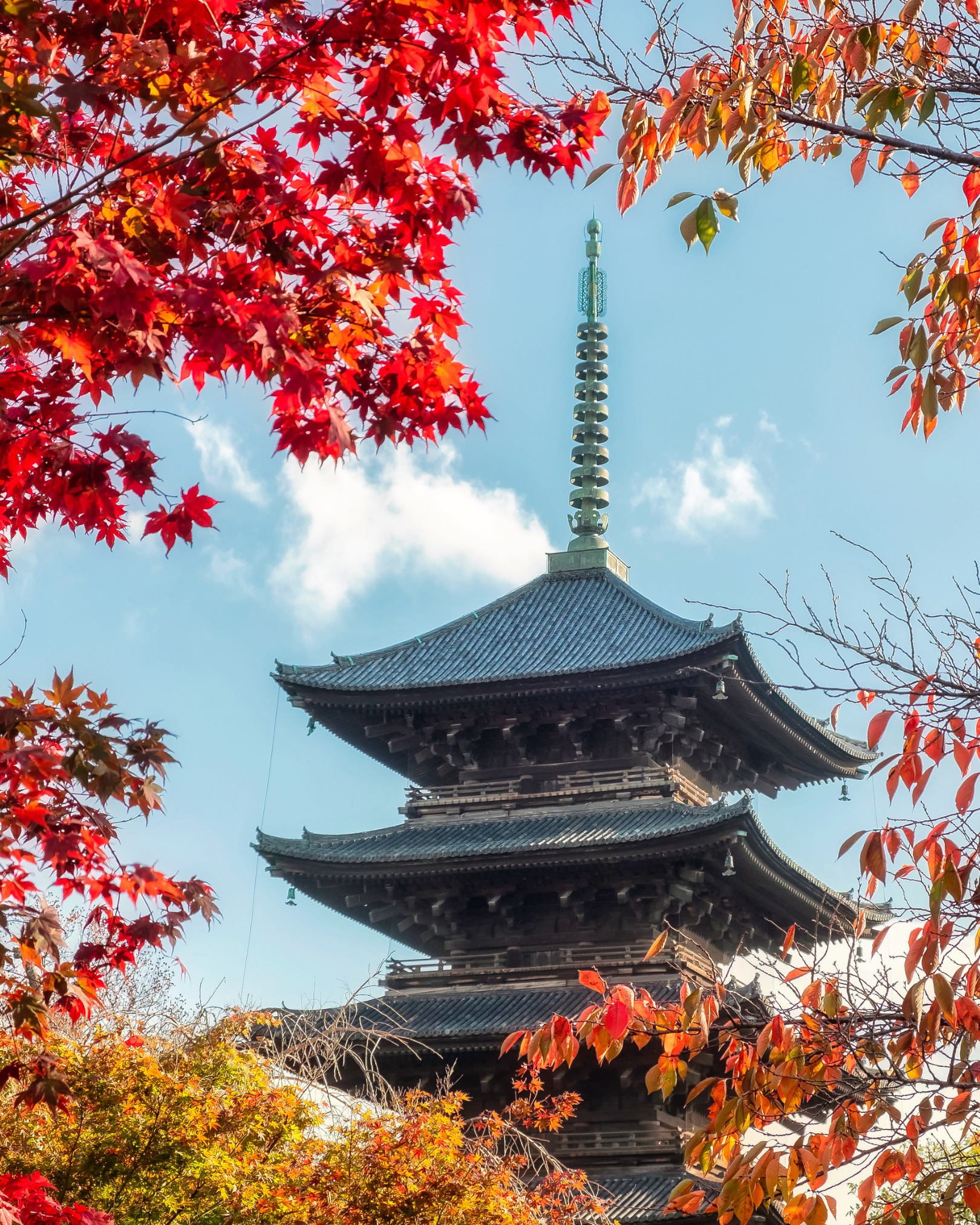 480363804_636234935655229_7932551490182722917_n