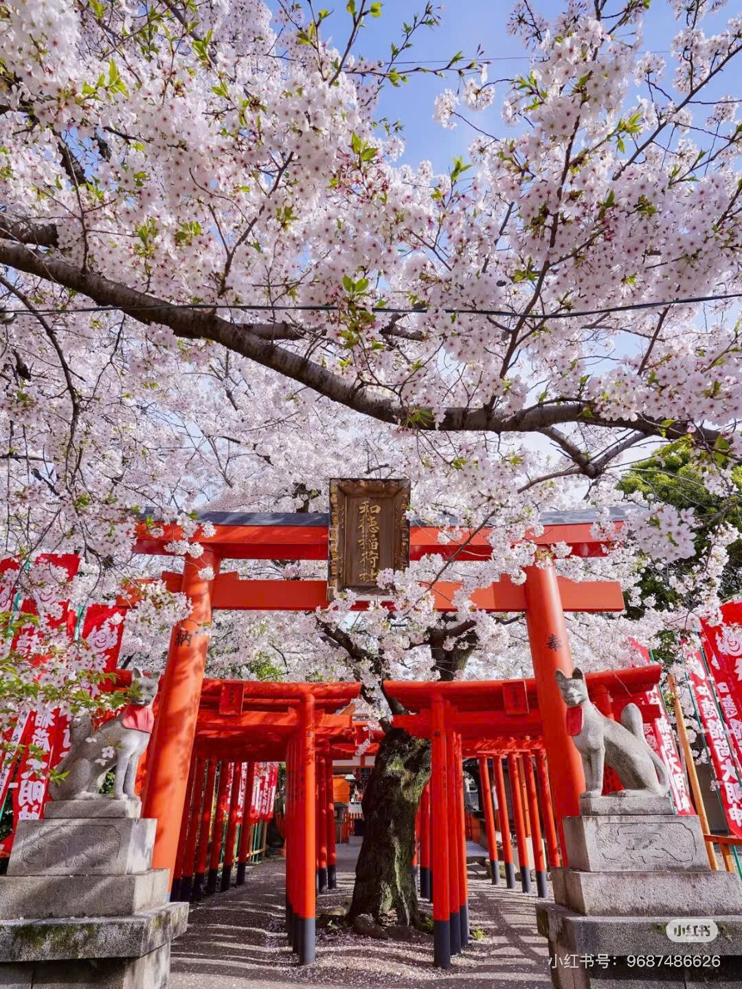 615765285_2598974620488859_7996620828017244125_n