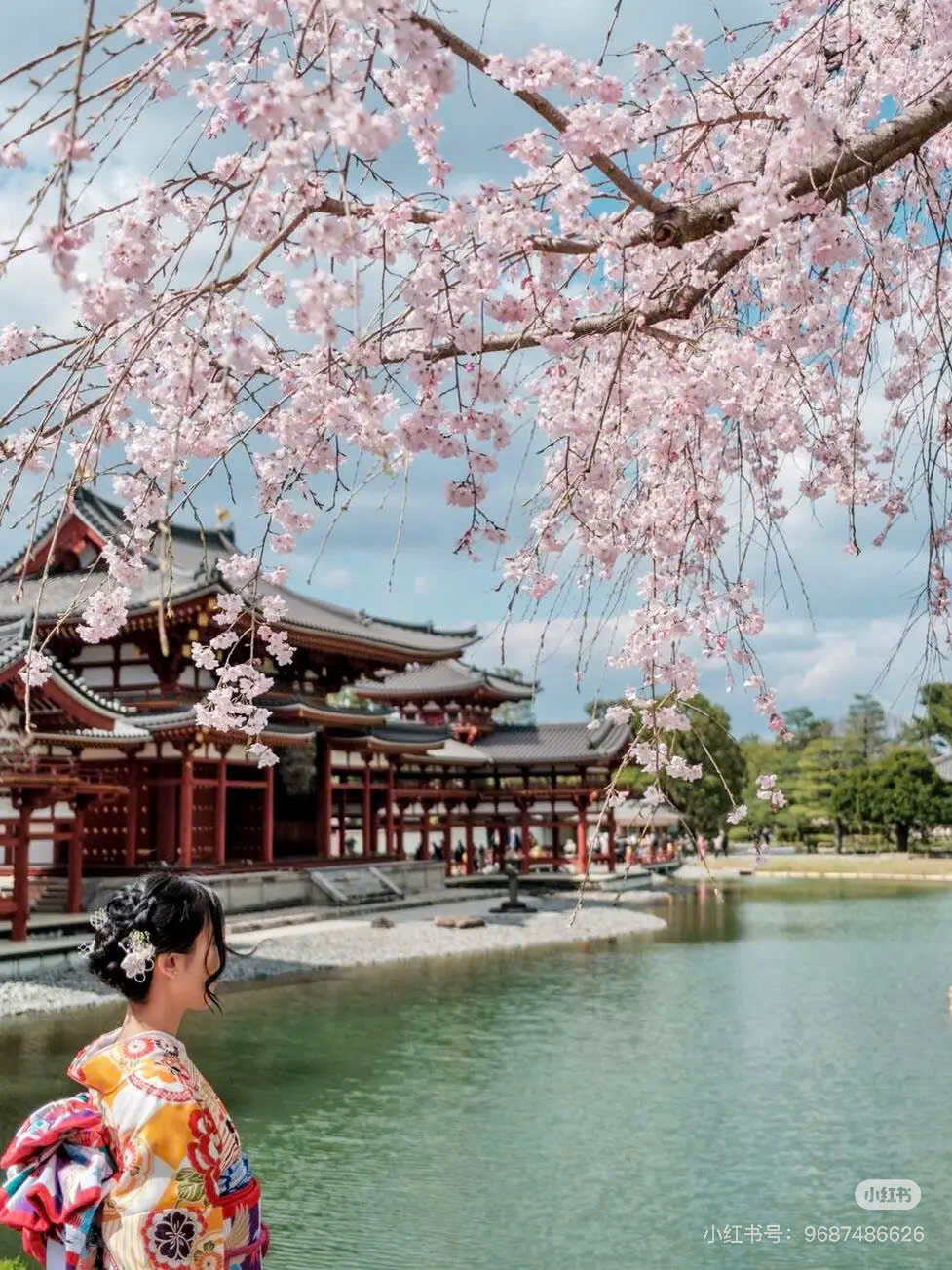 616182293_2598974573822197_8453131033724856683_n