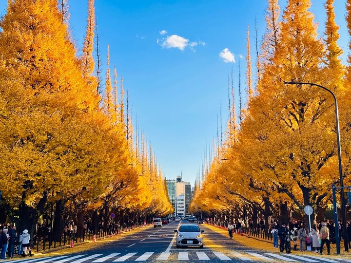 Meiji – jingu Gaien