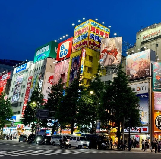 Khu phố Akihabara